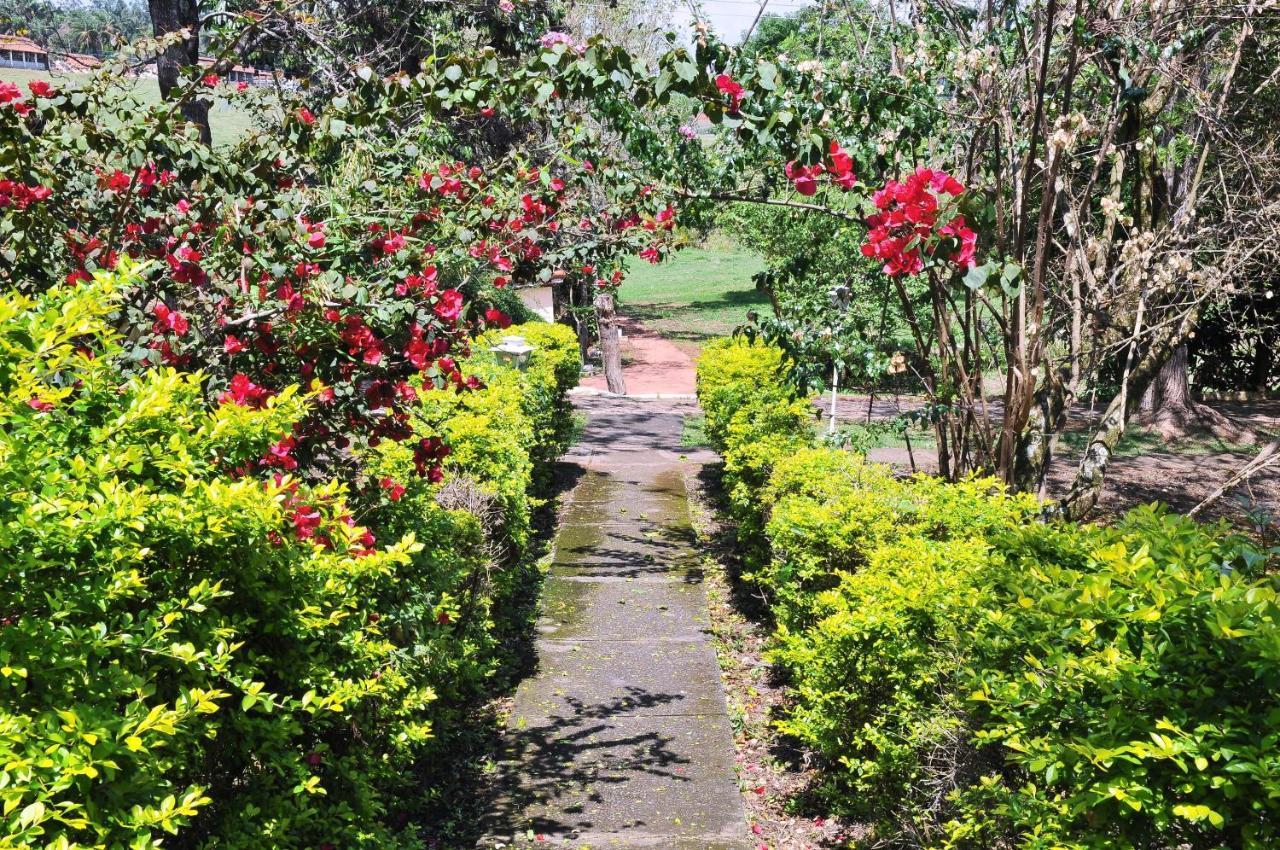 Hotel Nosso Sonho Itatiba Esterno foto